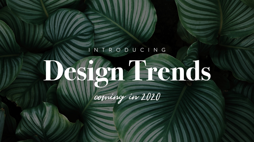 Design-Trends 2020: Sujet 05 / Design-Trends 2020 © echonet communication
